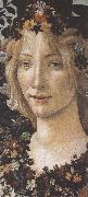 Sandro Botticelli Primavera (mk36) china oil painting artist